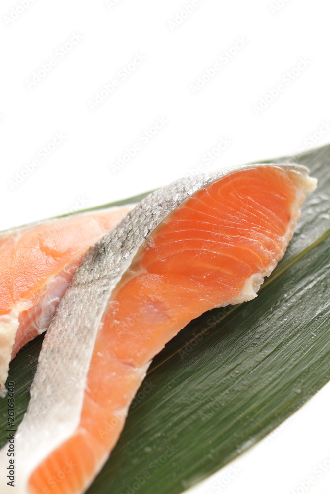 Japanese ingredient, freshness salmon Japanese ingredient, freshness salmon