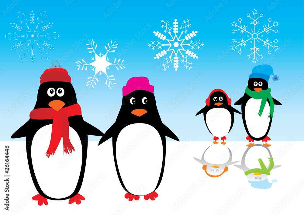 penguin family on ice with reflection penguin family on ice with reflection