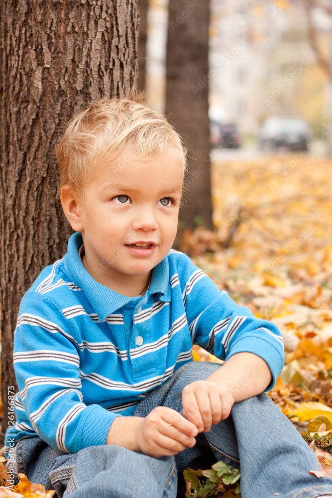 Cheerful boy sitting on yellow foliage . Cheerful boy sitting on yellow foliage .