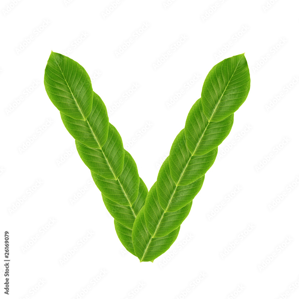 Obraz premium Letter V