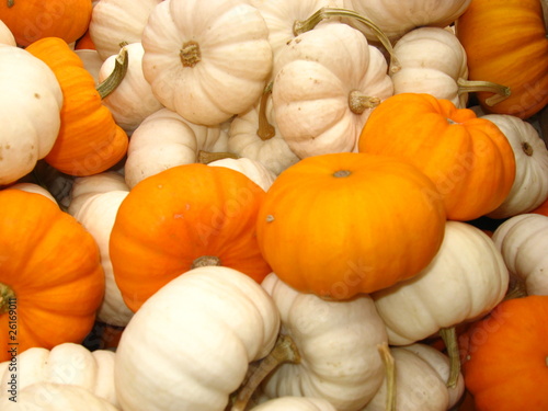Ein Haufen Kürbisse