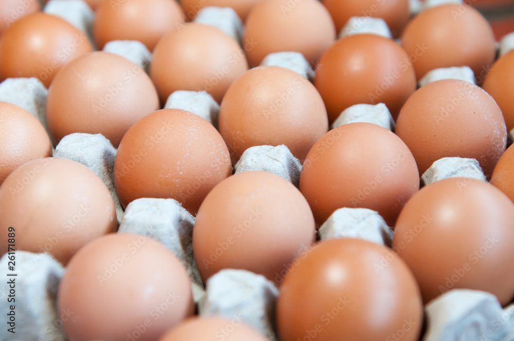 Tray of raw eggs