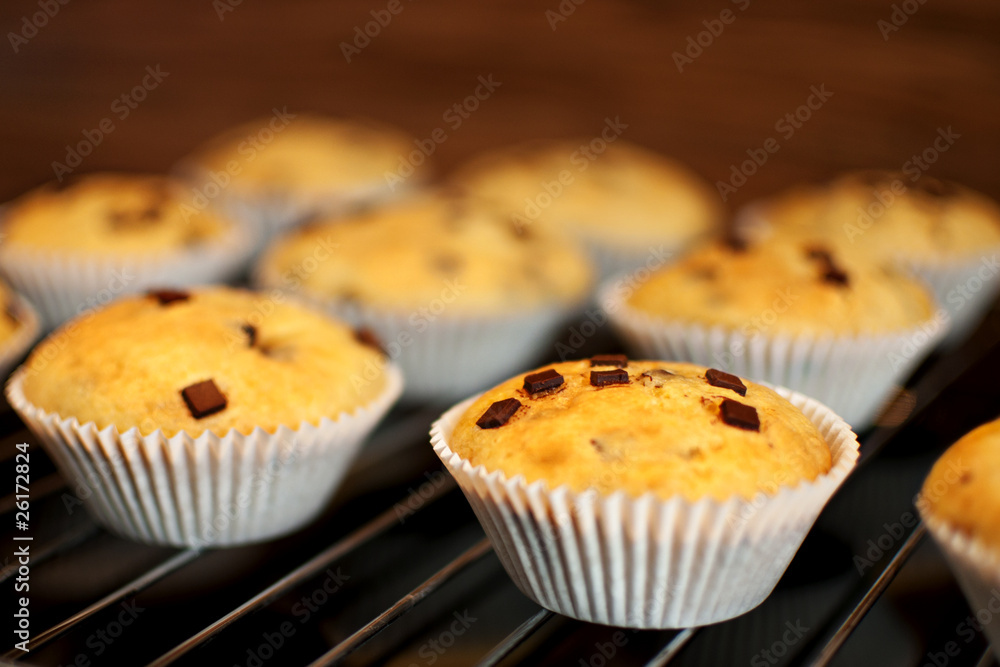 Muffin Muffin