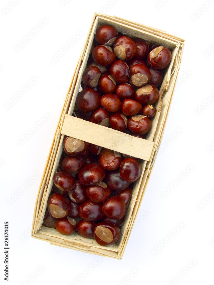 Obraz premium chestnuts in a basket