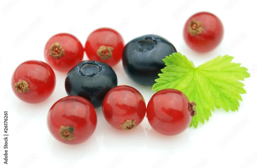 Blueberry with currant Blueberry with currant
