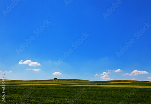 Canvastavla horizont