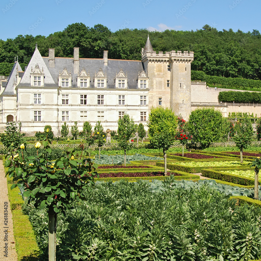 Fototapeta premium villandry