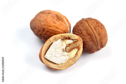 walnut isolated