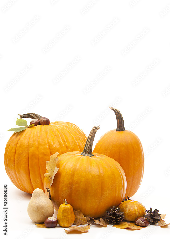 Halloween decoration Halloween decoration