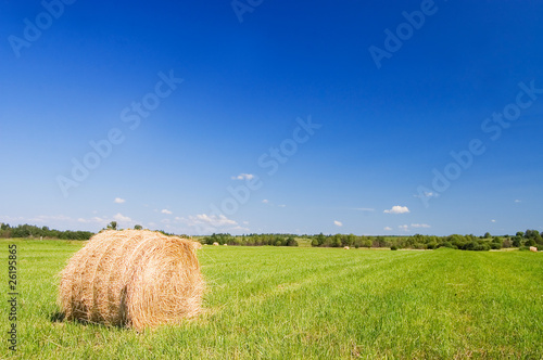 Canvas Print haystacks harvest against the skies