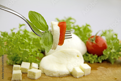 Mozzarella photo