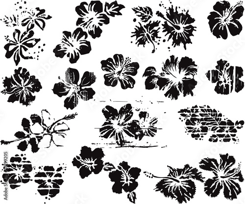 Grunge hibiscus flowers collection