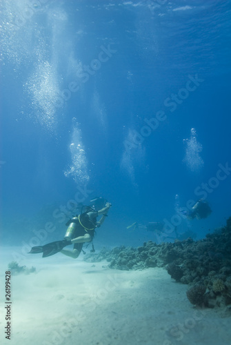 Scuba divers during a dive in clear shallow water.
