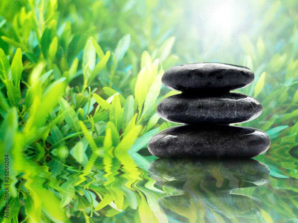 Fototapeta premium Spa stones in still life