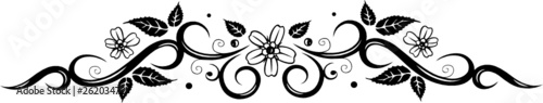 Ranke, floral, filigran, Blätter, Blumen, Blüten, abstrakt