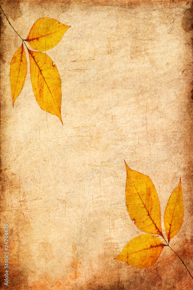 Autumn Leaves on the Old Paper