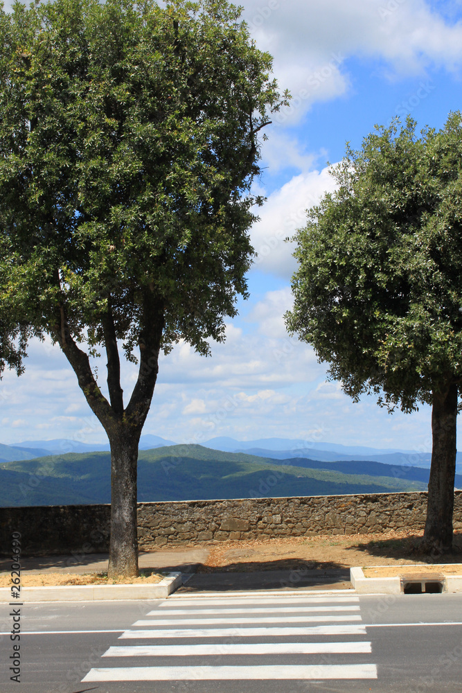 Obraz premium Zebrastreifen