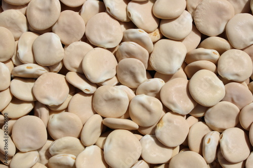 Lupins