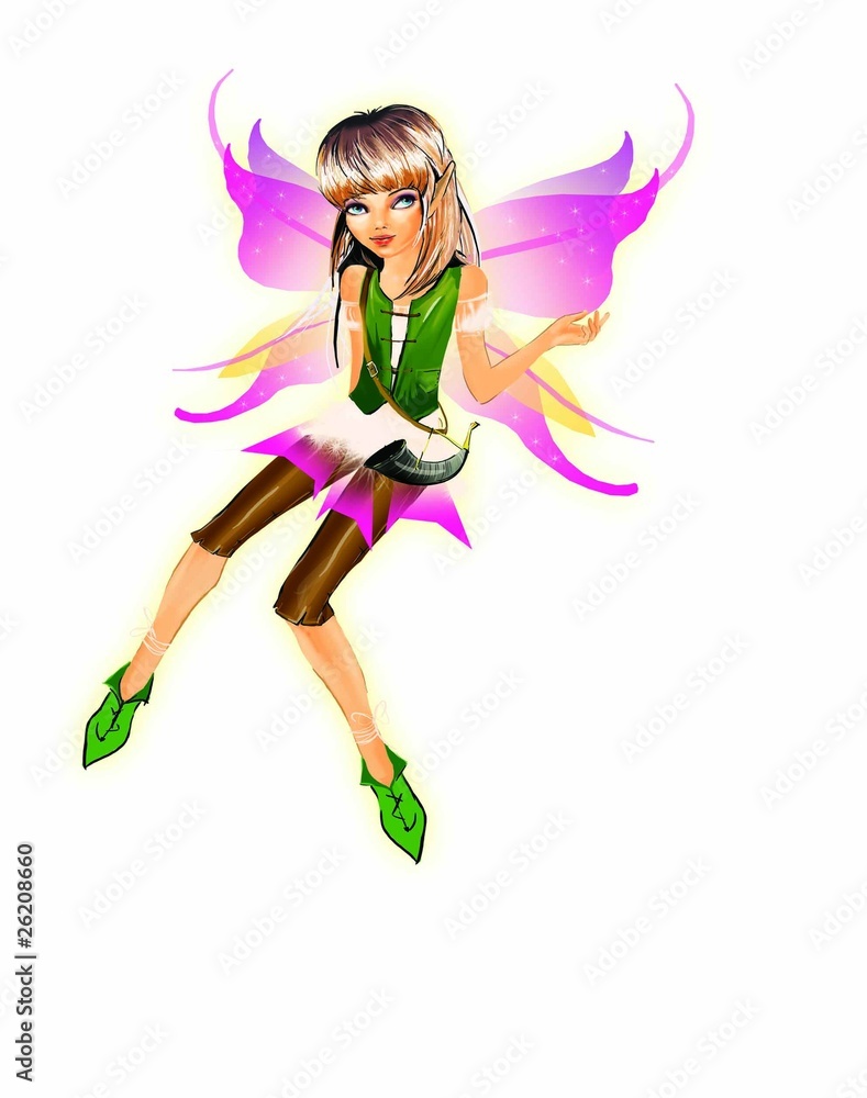fairy elf fairy elf