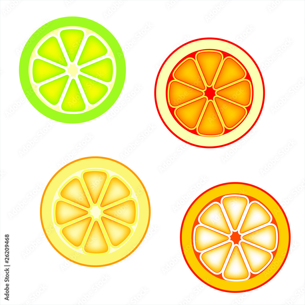 Slices of citrus fruits: Orange, red grapefruit, lemon and lime Slices of citrus fruits: Orange, red grapefruit, lemon and lime