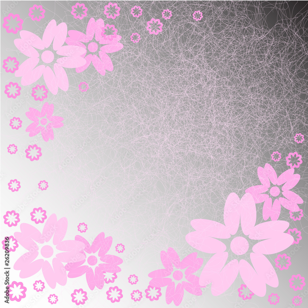 Fototapeta premium pink flowers on a gray background
