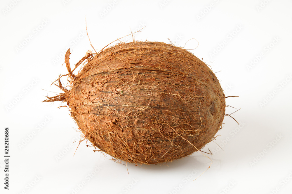 Kokosnuss Kokosnuss