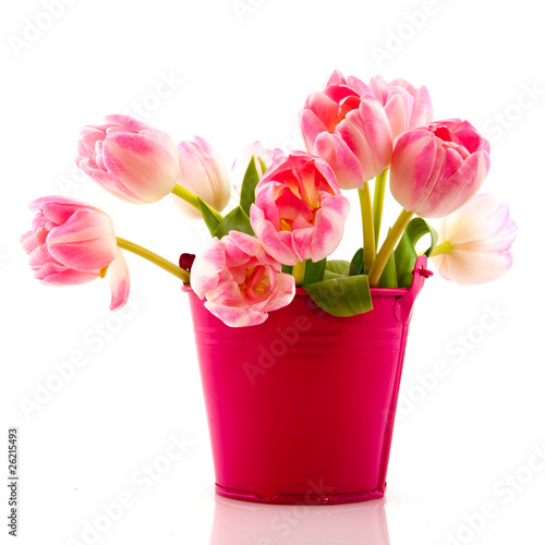Fototapeta Naklejka Na Ścianę i Meble -  red and pink tulips
