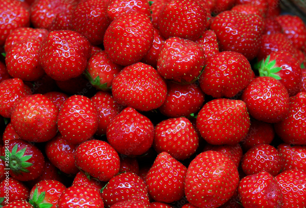 fragole fragole