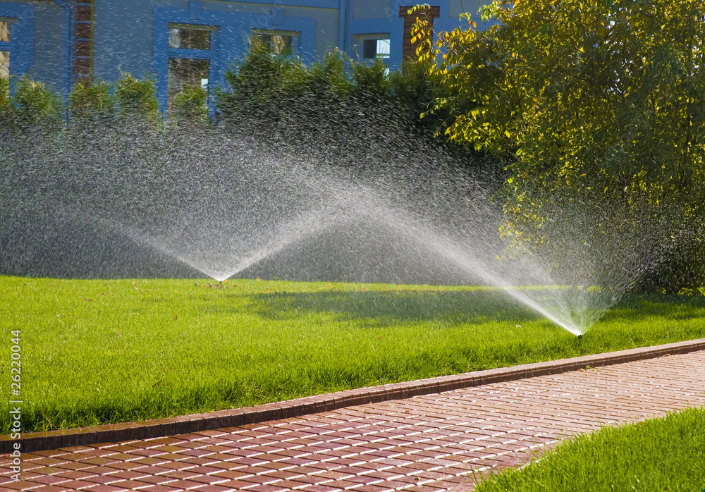 sprinkler of automatic watering in garden - obrazy, fototapety, plakaty 