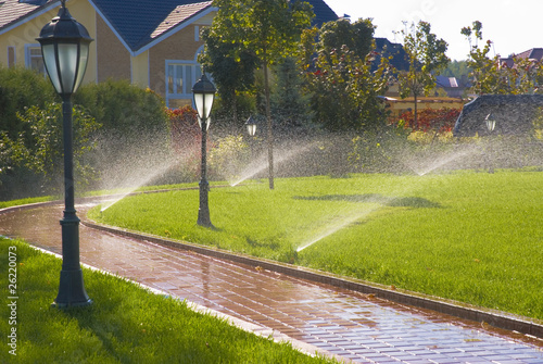 Canvas Print sprinkler of automatic watering in garden