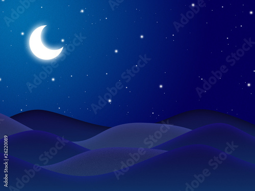 Moon at the night