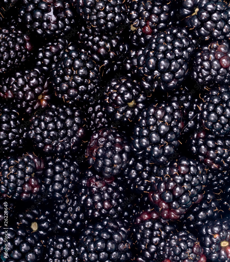 Blackberry Blackberry