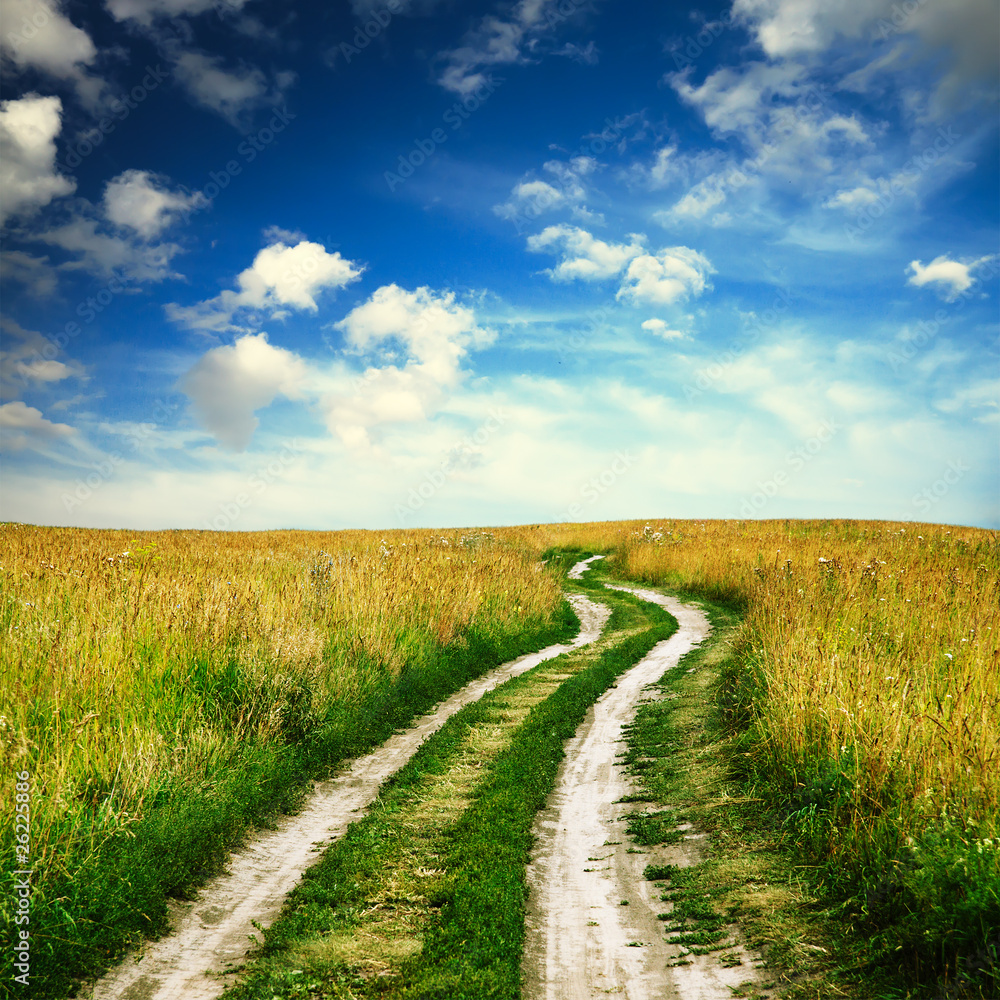 Obraz premium in the fields