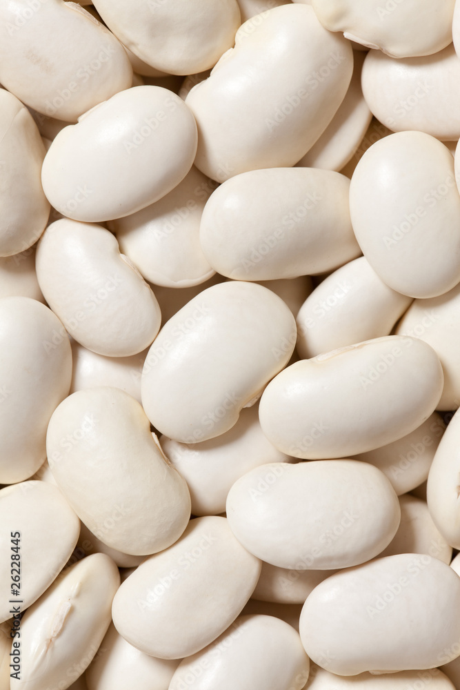 white beans background white beans background