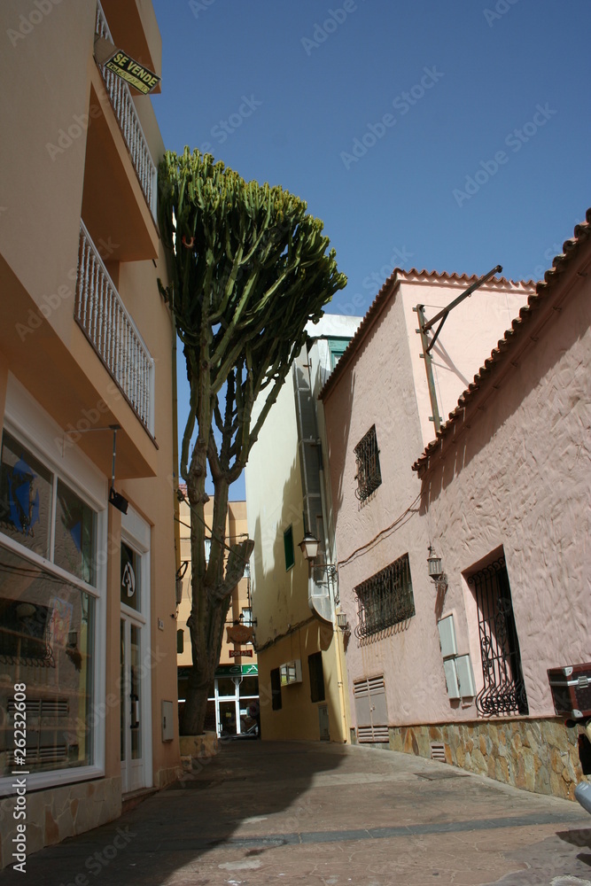 Fototapeta premium Fuerteventura Canary Island