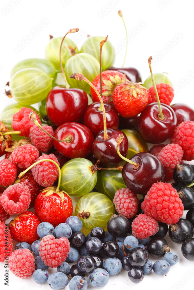different kinds of berries different kinds of berries