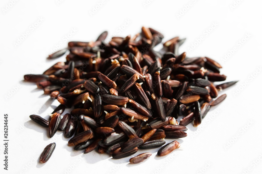 Obraz premium Natural milled Red gaba rice