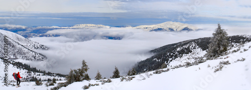 Fototapeta Naklejka Na Ścianę i Meble -  above the big winter sea