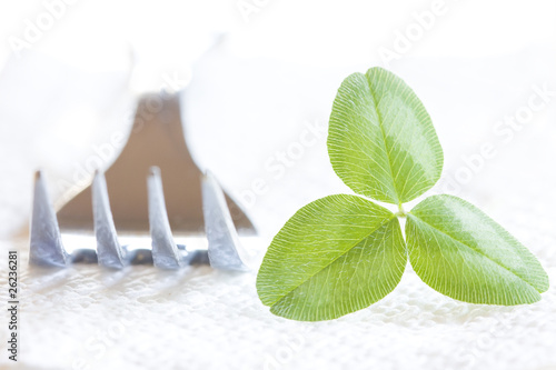 dieta saludable, vegetales