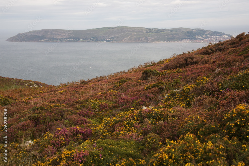 View of the great orme Llandudno From conwy mountains.