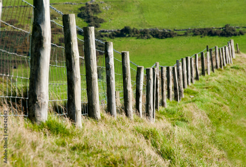 Wodden Posts with Metal Wire Fence in Cattle Field Wodden Posts with Metal Wire Fence in Cattle Field