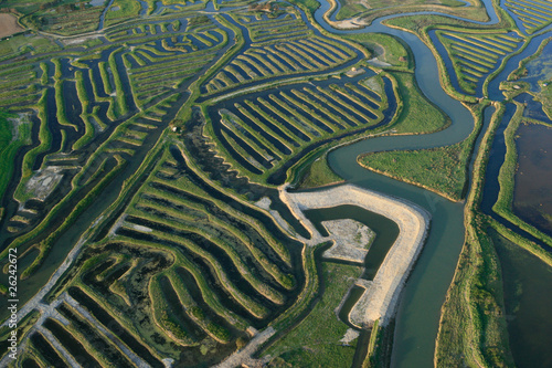 Marais du Payré et du Veillon, Vendée (85)