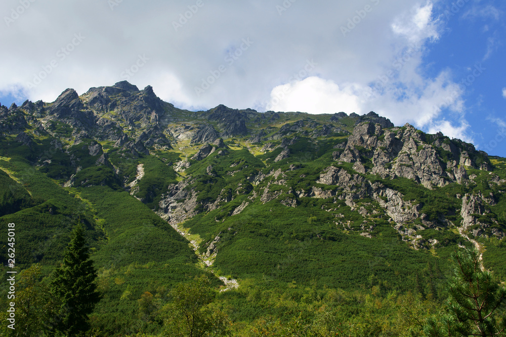 skałki w Tatrach