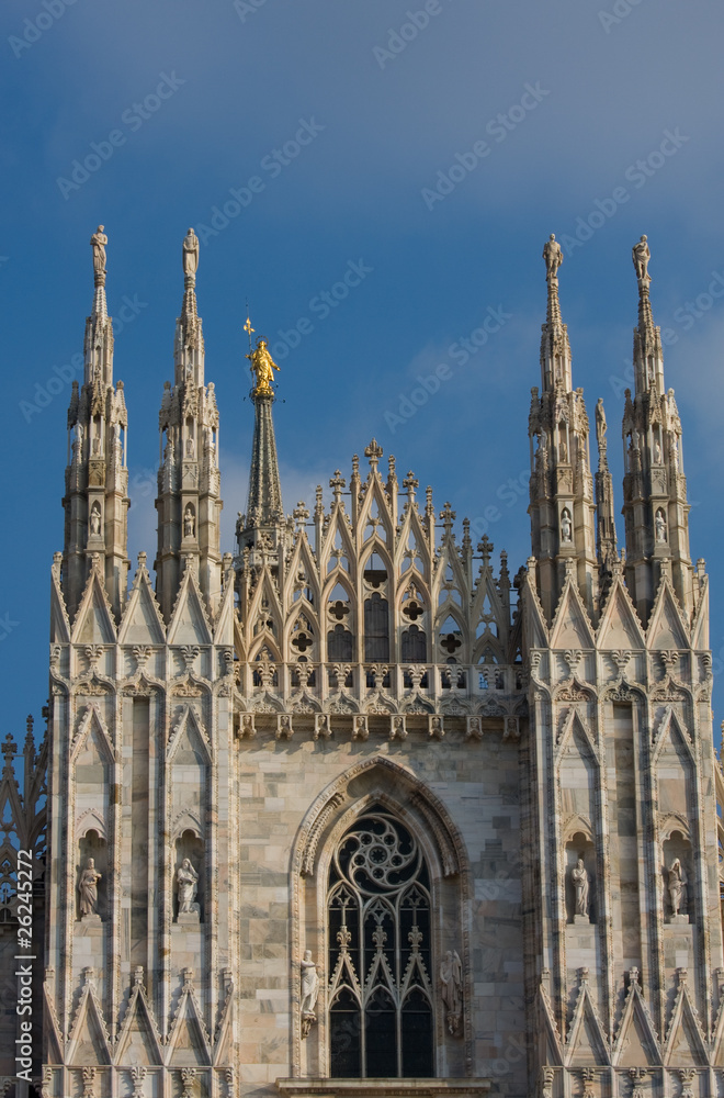 Duomo di Milano particolare