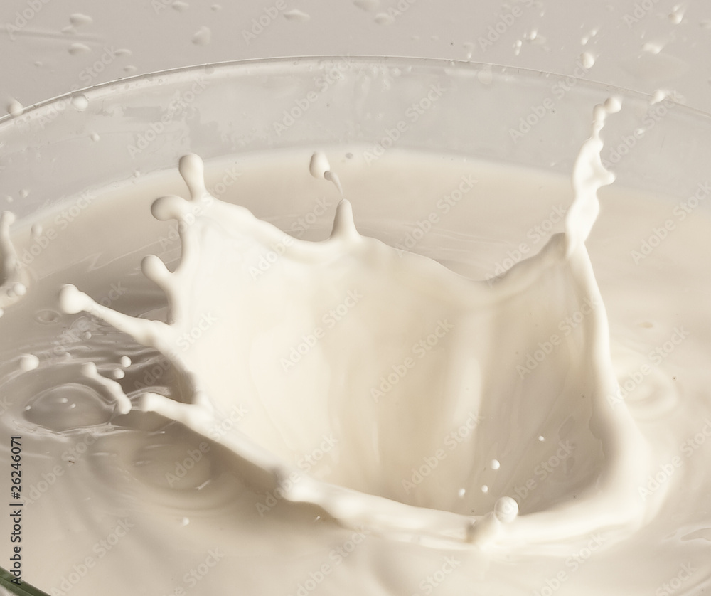 milk splash milk splash