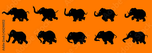 La marche d'un éléphant