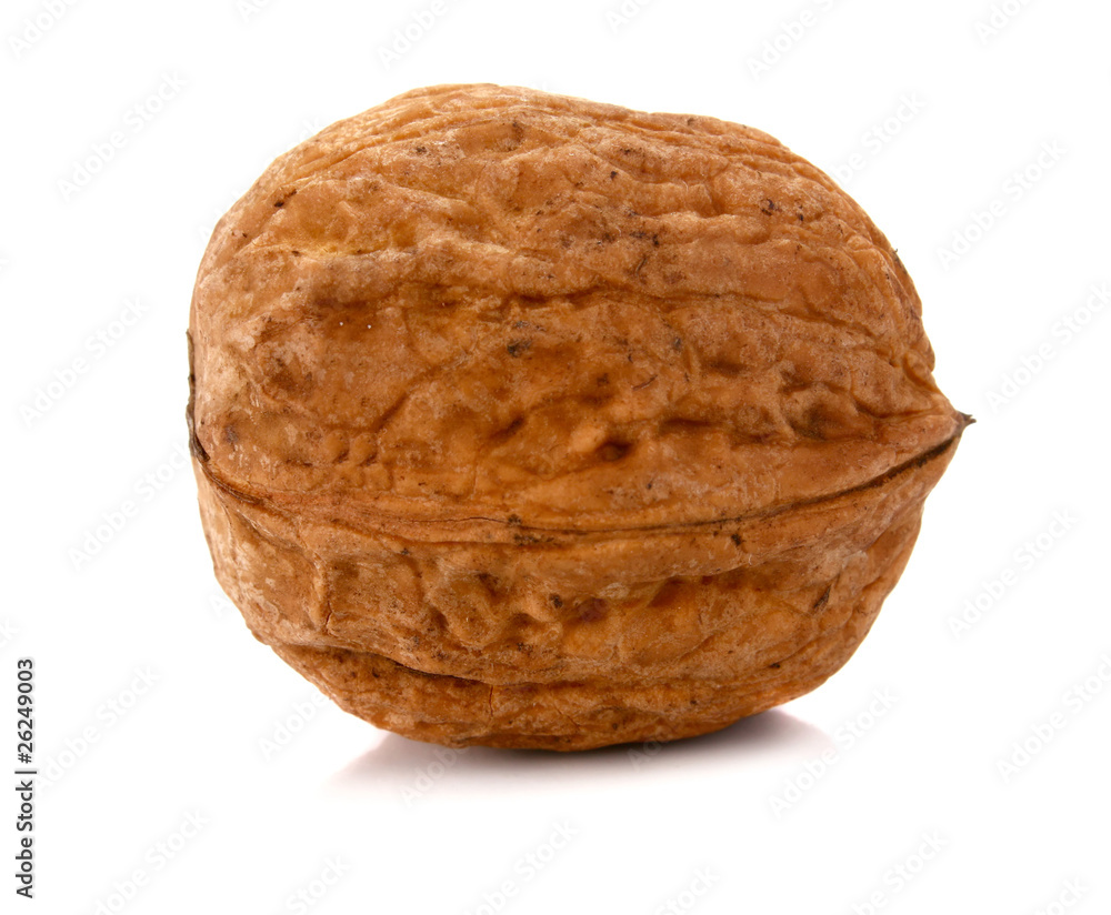 walnut walnut
