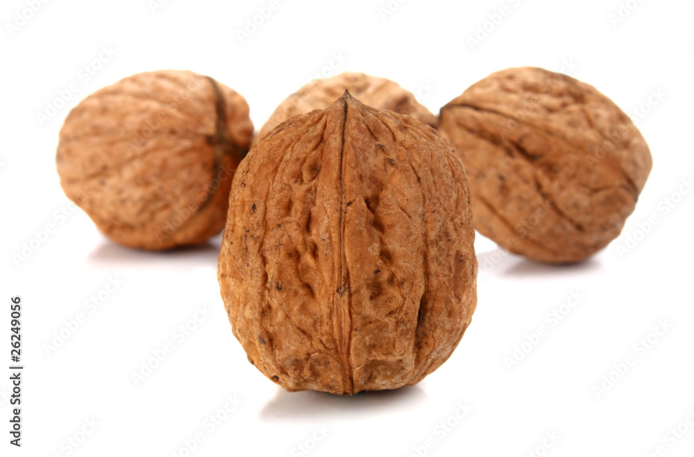 walnut walnut