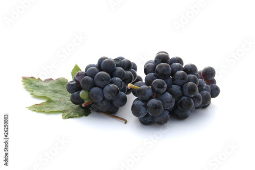 Grappes de raisins