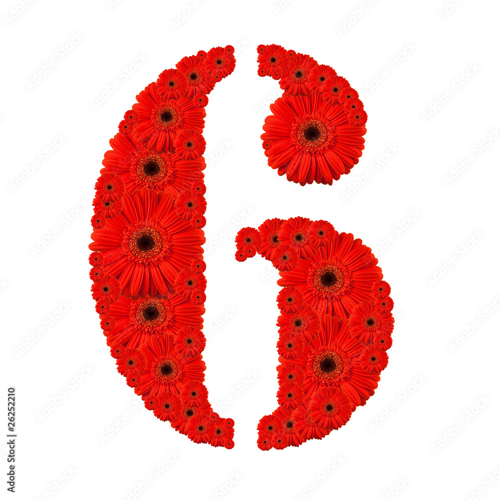 Number 6 Number 6